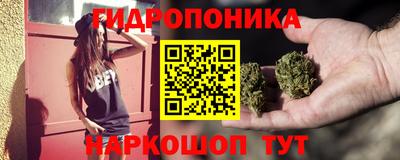 индика Мариинск